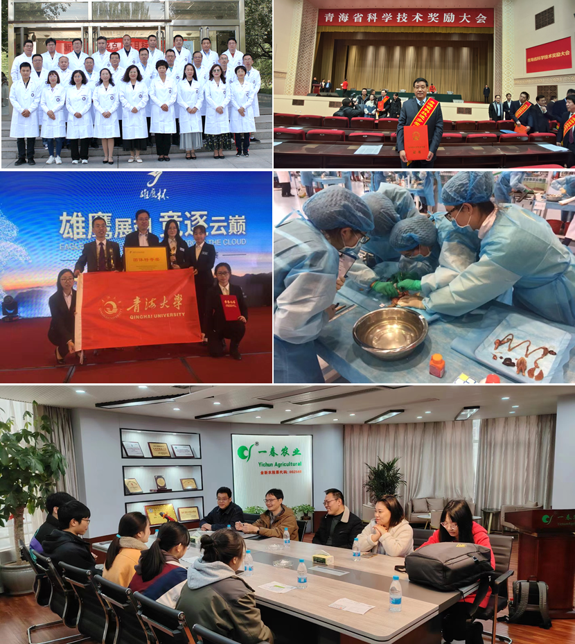 040dd65196144ad69c039b0bf2e41817.png 040dd65196144ad69c039b0bf2e41817.png